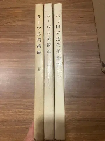 미술 서적 세트 루브르 파리 국립 근대 미술관