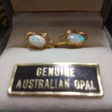 호주산 오팔 골드 귀찌