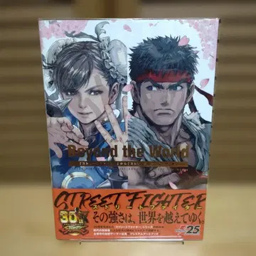 [ 즉시 구매 OK ] 스트리트 파이터 메모리얼 아카이브