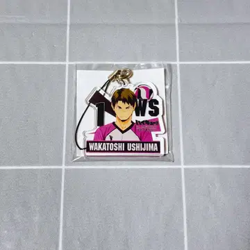 하이큐!! J-WORLD 아크릴 스트랩 우시지마 와카토시