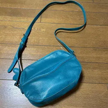 깔끔한 그린 Dakota 다코타의 숄더백