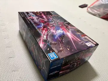 HG 인피니트 저스티스 건담 이식