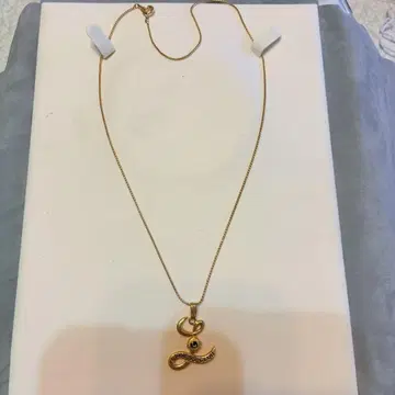 라이온즈 클럽 회원 목걸이