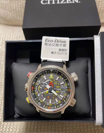 시티즌 프로마스터