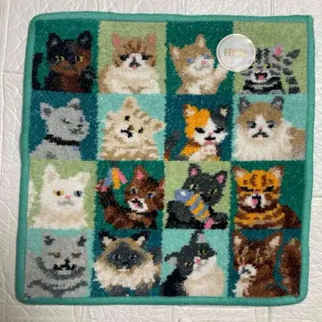 페이러 룩! 마이 캣