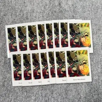 앙스타 파샤츠 vol.6 action 소라