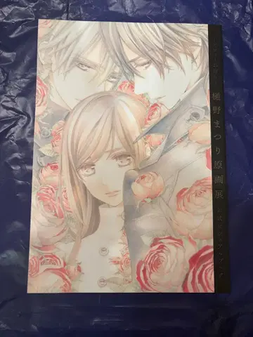 히노 마츠리 비주얼 북 뱀파이어 기사전