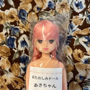 리카짱 캐슬 아키짱