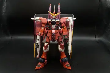 RG 저스티스 건담 정크