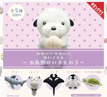 수족관 생물 3 가챠 키탄클럽 전 5종 풀컴프 미사용 새상품