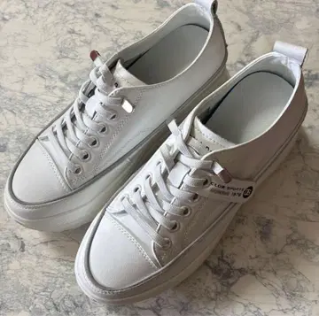 완판템 [ PASSIONE ] 통굽 스니커즈