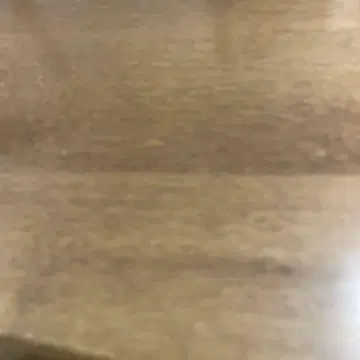 FGO 영령과 함께하는 별들의 이야기 플라네타륨 한정 번들