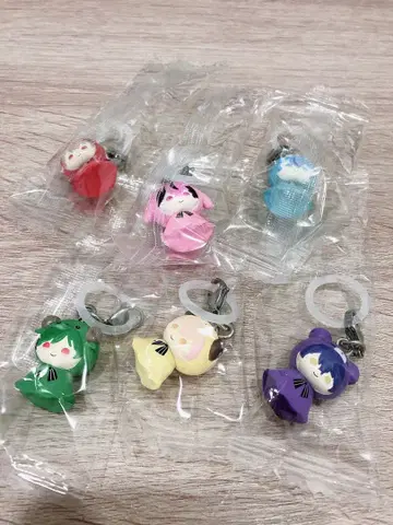 시쿠포니 메지루시 액세서리 컴플리트