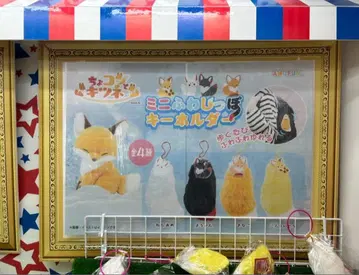 미니 복슬복슬 꼬리 키링 4개