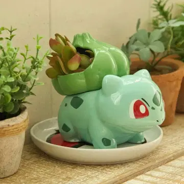 포켓몬 센터 이상해씨 미니 화분 포켓몬 센터 플랜터