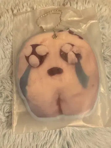 아노짱 팬클럽 패스 케이스