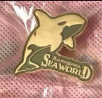 레어 카모가와 씨월드 랜덤 핀 배지 범고래 골드