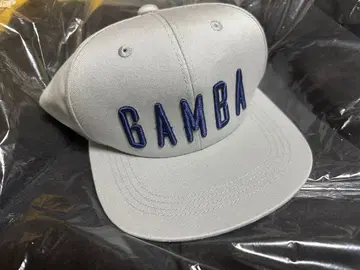 GAMBA 그레이 캡 EXPO 2019