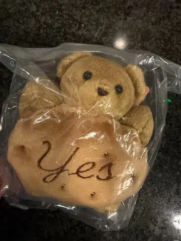 덤 포함! 노 레이즌 샌드위치 캐러멜 곰 봉제 인형 참