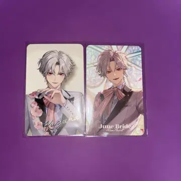 니지산지 쿠츠하 랜덤 사진풍 카드 레어 포함