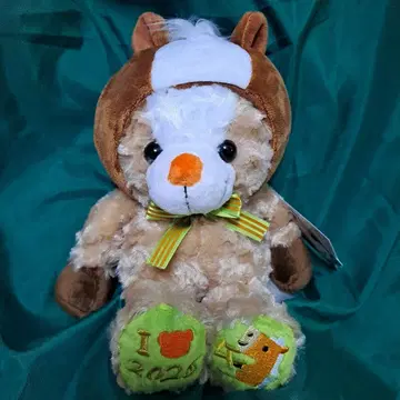 지역 베어 경주