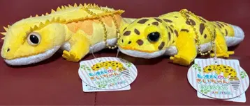 레오파의 키이짱 룬룬 기분 LMC 사이즈 봉제 인형 마스코트 2세트