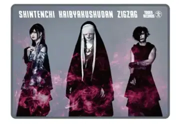 -진천지개벽집단- 지그재그 x TOWER RECORDS 담요