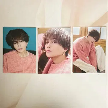 야기 유세이 즛토 즛토