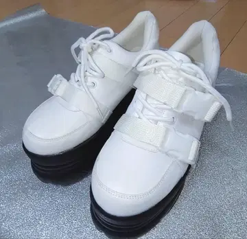 10cm 통굽 화이트 스니커즈