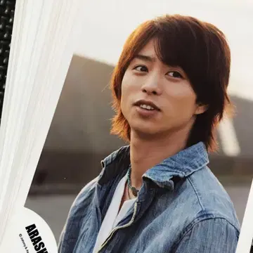 아라시 공식 사진 사쿠라이 쇼 30장 세트