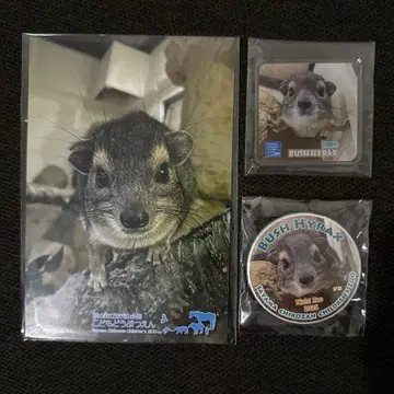 키보시이와 하이랙스 지로 엽서 캔뱃지 마그넷 지코잔 공원