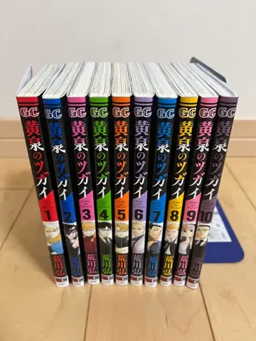 황천의 쌍둥이 아라카와 히로시 1~10권 전권 초판