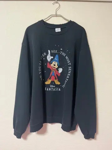 JOURNAL STANDARD 미키마우스 별주 데미지 맨투맨