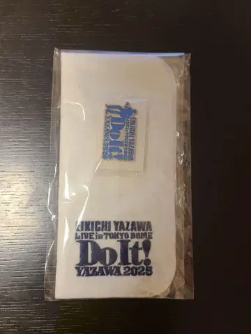 야자와 에이요시 도쿄돔 SS