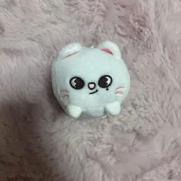 미니 백참 현진 지니렛 Stray Kids