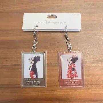 도쿄 디즈니 리조트 아크릴 키링 2개 세트