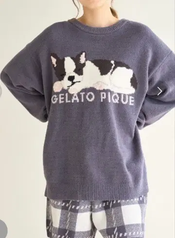 gelato pique 에어니코 슬리핑 도그 스웨터