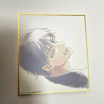 주술회전전 회옥옥절 블라인드 미니 색지 후시구로 토우지