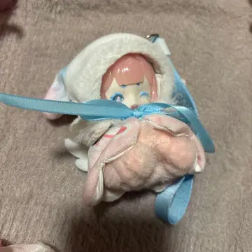 PENNY'S BOX ANTU  귀여운 프티 복슬복슬 강아지