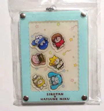 하츠네 미쿠 x 시로탄 카드 케이스 패스 케이스