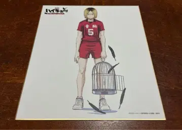 하이큐 쓰레기장의 결전 IG 스토어 특전 색지 코즈메 켄마