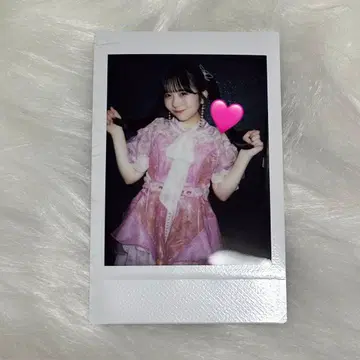 SWEET STEADY 스이 스테 쿠리타 나츠카 폴라로이드