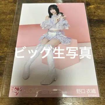 노구치 이오리 빅 브로마이드 모리 판타지 콜라보 3장 (뒷모습)