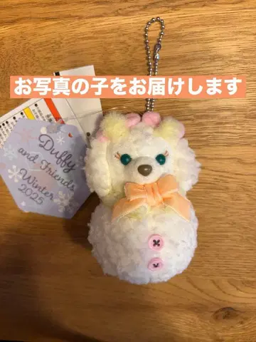 택 포함 새상품 쿠키 앙 봉제 인형 참 시크릿 오브 스노위 데이