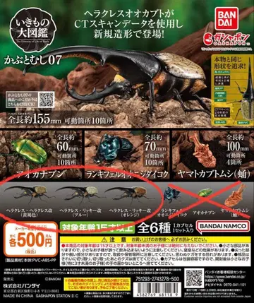 생물대도감 딱정벌레 07 3종