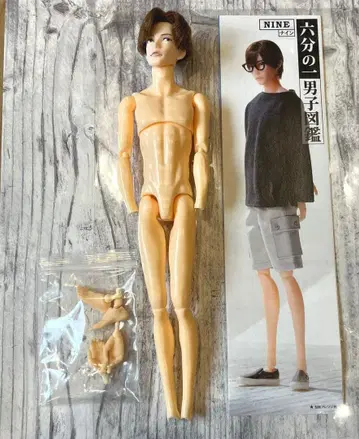 6분의 1 남자 도감 서점의 나인 본체만