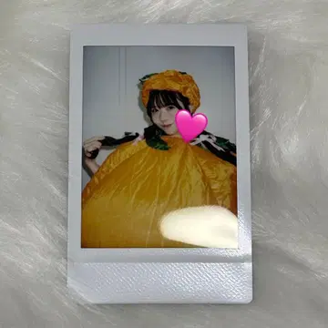 SWEET STEADY 스이스테 쿠리타 나츠카 폴라로이드