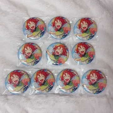 앙스타 반짝이는 섬광 중국 캔뱃지 츠키나가 레오 10점