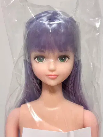 즐거운 인형 시온 퍼플 헤어 리카짱 제니