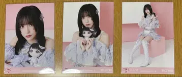 =LOVE 노구치 이오리 모리 판타지 브로마이드 컴프